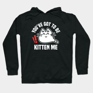 You’ve Got To Be Kitten Me Funny Cat Design Hoodie